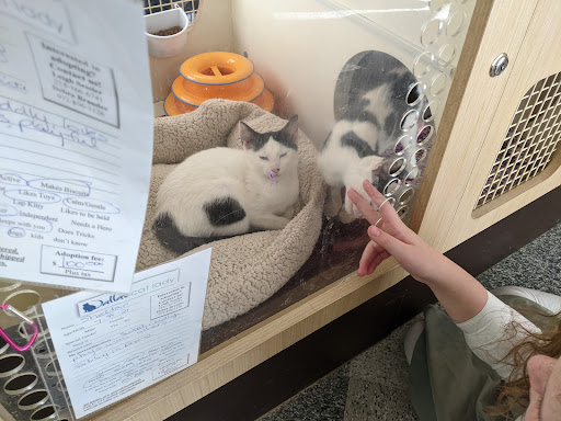 Pet Supply Store «Petco Animal Supplies», reviews and photos, 2722 N Josey Ln #107, Carrollton, TX 75007, USA