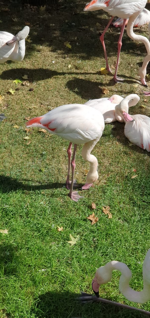 Photo n° 8 de l'avis de Jean.a fait le 18/05/2023 à 12:05