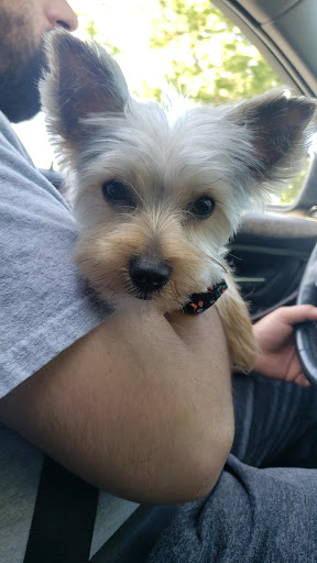 Pet Store «Katie’s PET DEPOT®», reviews and photos, 1941 Foothill Blvd, La Verne, CA 91750, USA