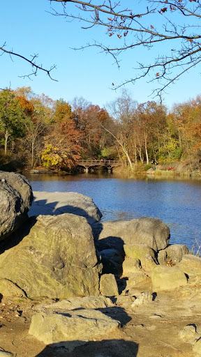 Art Museum «The Metropolitan Museum of Art», reviews and photos, 1000 5th Ave, New York, NY 10028, USA