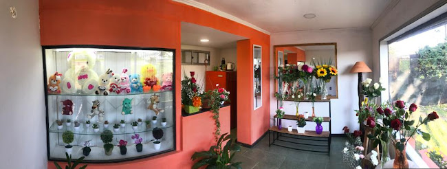 Opiniones de Florería La Rosa de Sarón en Canelones - Floristería