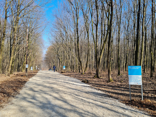 Értékelések erről a helyről: Sípálya parkoló, Eplény - Parkoló