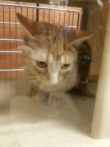 Pet Supply Store «PetSmart», reviews and photos, 122 Dunes Plaza, Michigan City, IN 46360, USA