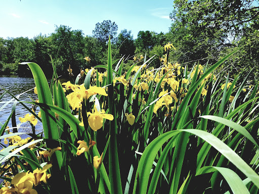 Park «Nature Center At Shaker Lakes», reviews and photos, 2600 S Park Blvd, Cleveland, OH 44120, USA