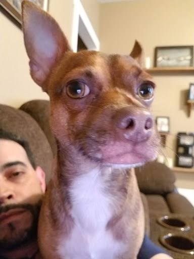 Pet Supply Store «PetSmart», reviews and photos, 1276 Bald Hill Rd, Warwick, RI 02886, USA