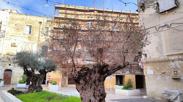 Extérieur Bed & Breakfast Loft Albicocca 70122 Bari