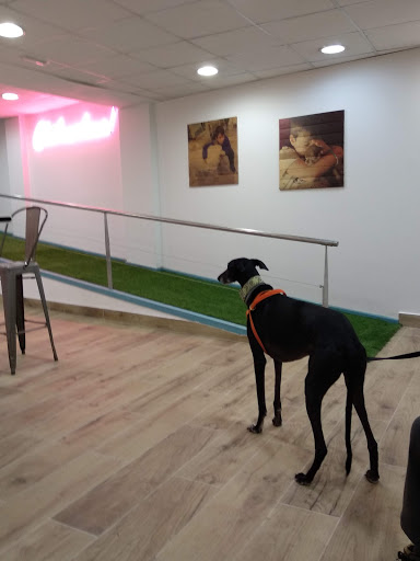 Centro de Referencia En Diagnóstico Veterinario Vetcorner en Zaragoza