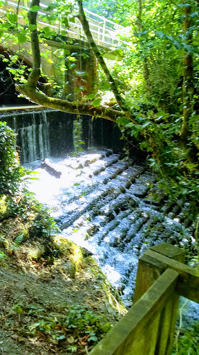 Chewton Bunny Nature Reserve