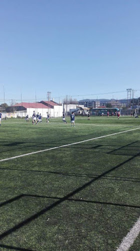 Opiniones de Cancha Los Castaños Chiguayante (Juega Fútbol) en Chiguayante - Asociación