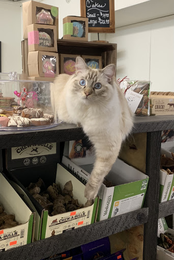 Pet Supply Store «Milford Pet Foods Plus», reviews and photos, 113 7th St, Milford, PA 18337, USA