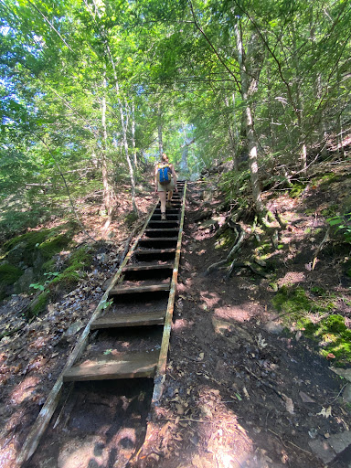 Weathersfield Trail