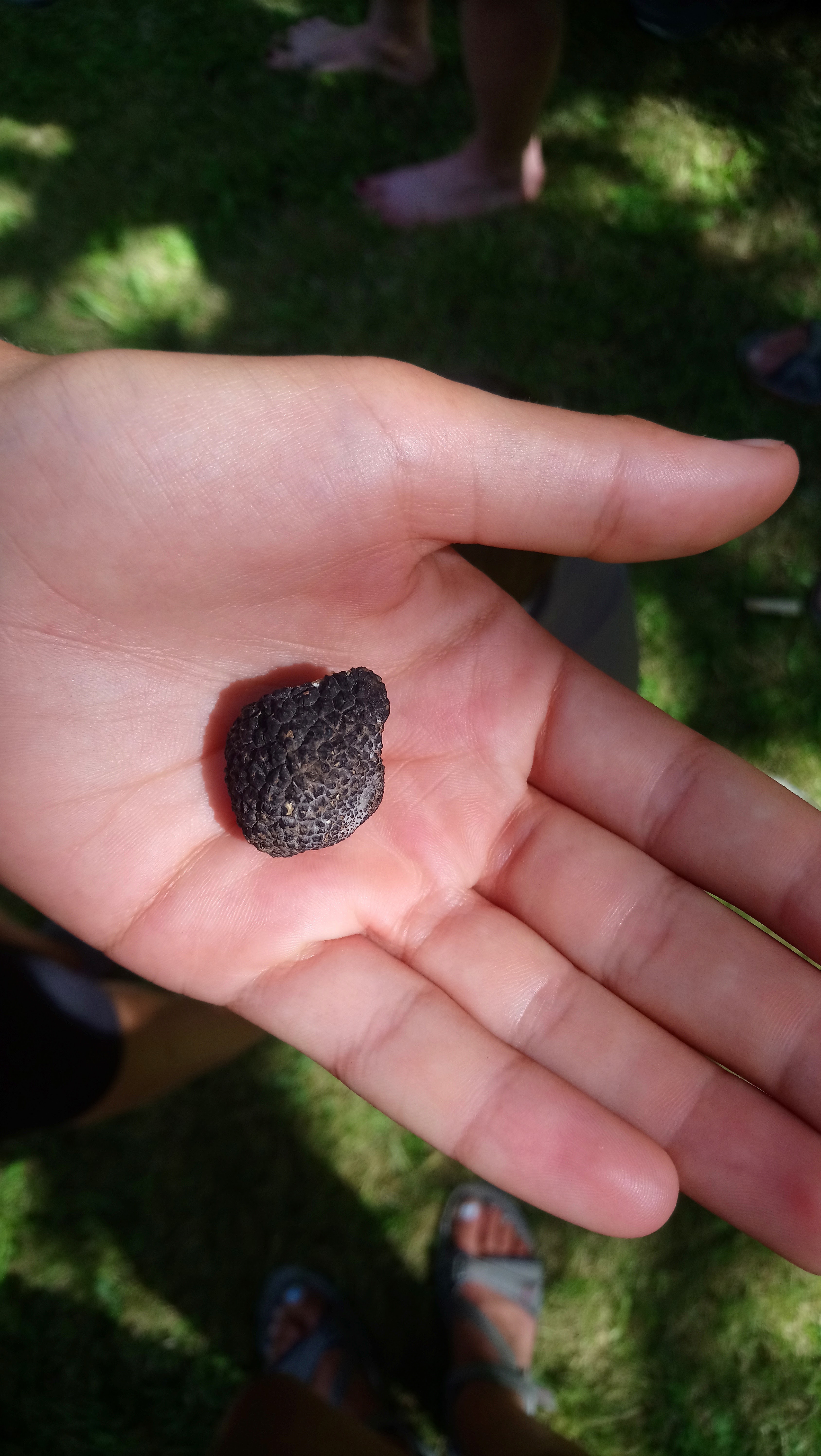 Photo n° 1 de l'avis de simonnet.a fait le 10/08/2019 à 13:04