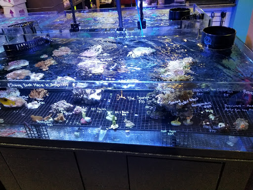 Tropical Fish Store «Aquatic Wildlife Co», reviews and photos, 70 Buckland Rd, South Windsor, CT 06074, USA