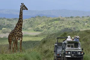 EXCELLENCE TANZANIA ADVENTURES: | Best travel company in Tanzania | Kilimanjaro Trek | Best Tanzania safaris tour image