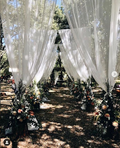 Avaliações doRosa Almeida Florista em Coimbra - Floricultura