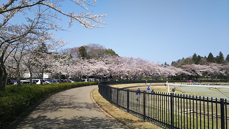 四街道総合公園