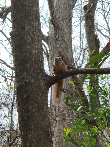 Non-Profit Organization «Nature Discovery Center», reviews and photos, 7112 Newcastle St, Bellaire, TX 77401, USA