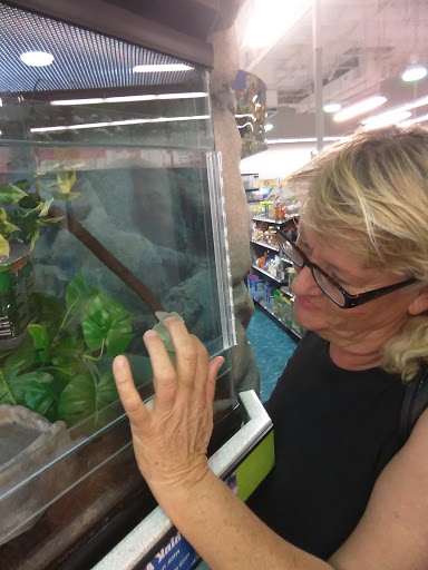 Pet Supply Store «Petco Animal Supplies», reviews and photos, 845 N Dobson Rd, Mesa, AZ 85201, USA