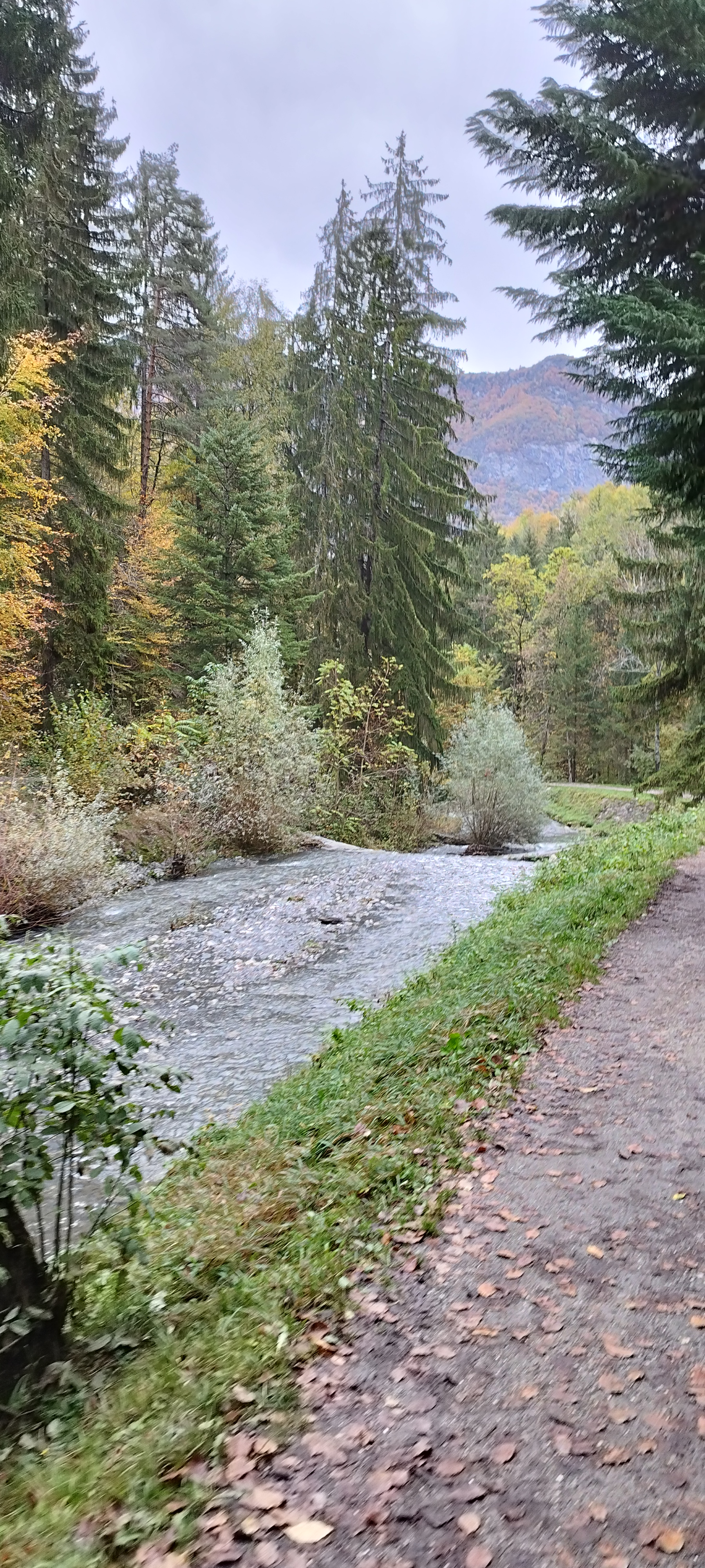 Photo n° 3 de l'avis de Franck.i fait le 01/11/2023 à 21:16