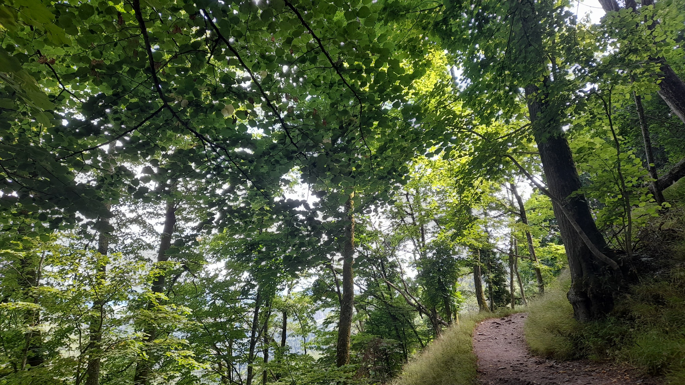 Photo n° 8 de l'avis de Kris.c fait le 20/07/2022 à 13:28