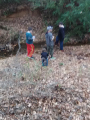 Park «Bowers Park Disc Golf Course», reviews and photos, Bowers Park Dr, Tuscaloosa, AL 35405, USA