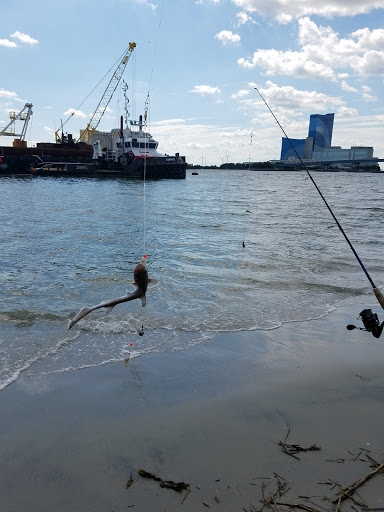 Aquarium «Atlantic City Aquarium», reviews and photos, 800 N New Hampshire Ave, Atlantic City, NJ 08401, USA