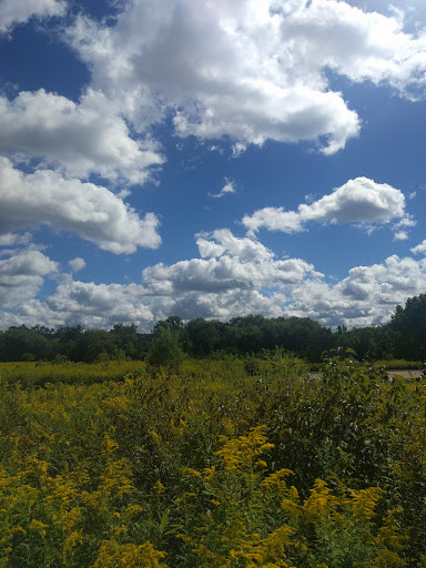 Nature Preserve «Fox Bluff Conservation Area», reviews and photos, Cold Springs Rd, Algonquin, IL 60102, USA