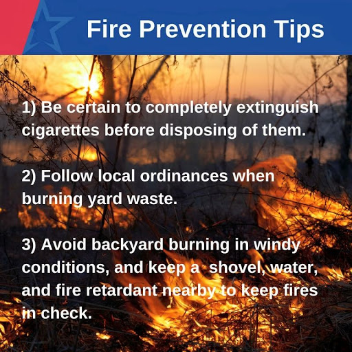 Insurance Agency «FedNat», reviews and photos