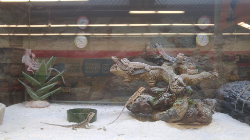 Pet Supply Store «Petco Animal Supplies», reviews and photos, 1209 New Brunswick Ave, Phillipsburg, NJ 08865, USA