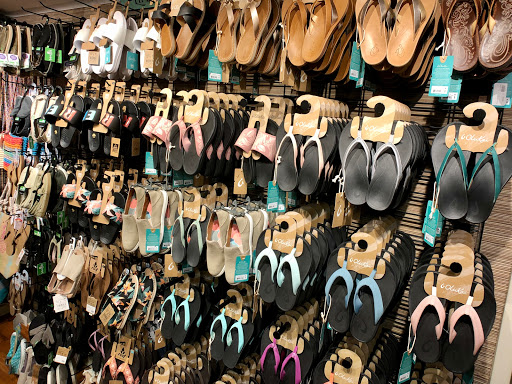 Surf Shop «Primal Surf», reviews and photos, 3106 Revere Blvd, Brigantine, NJ 08203, USA