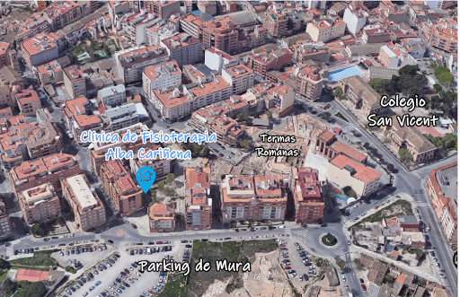 Clínica de Fisioterapia Alba Cariñena en Llíria, Valencia