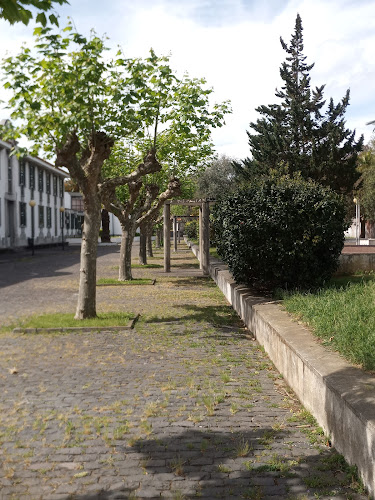 Complexo Desportivo das Laranjeiras - Ponta Delgada