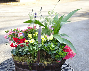 Florist «Polites Florist», reviews and photos, 443 Baltimore Pike, Springfield, PA 19064, USA