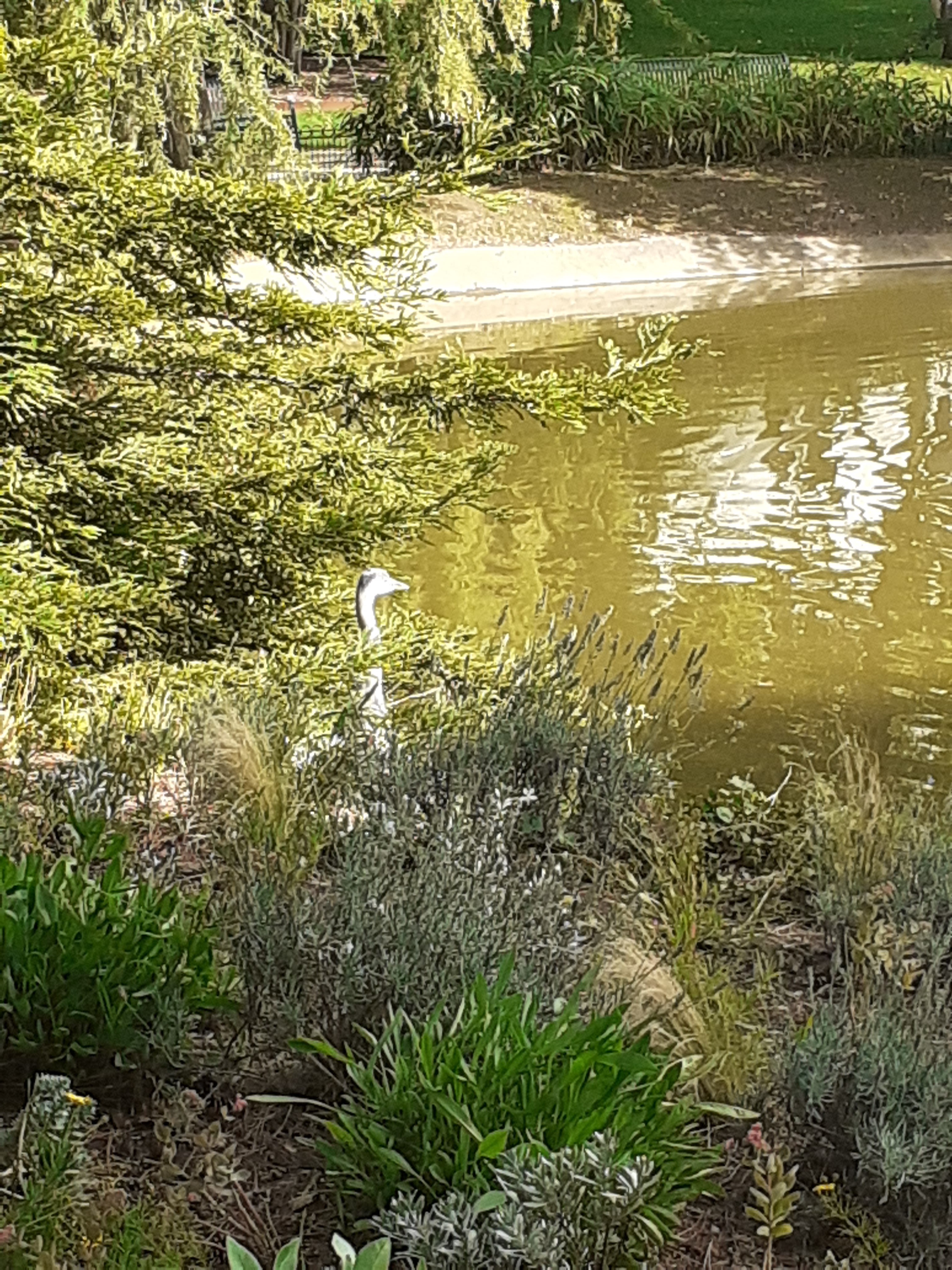 Photo n° 2 de l'avis de Véro.e fait le 13/08/2023 à 18:40
