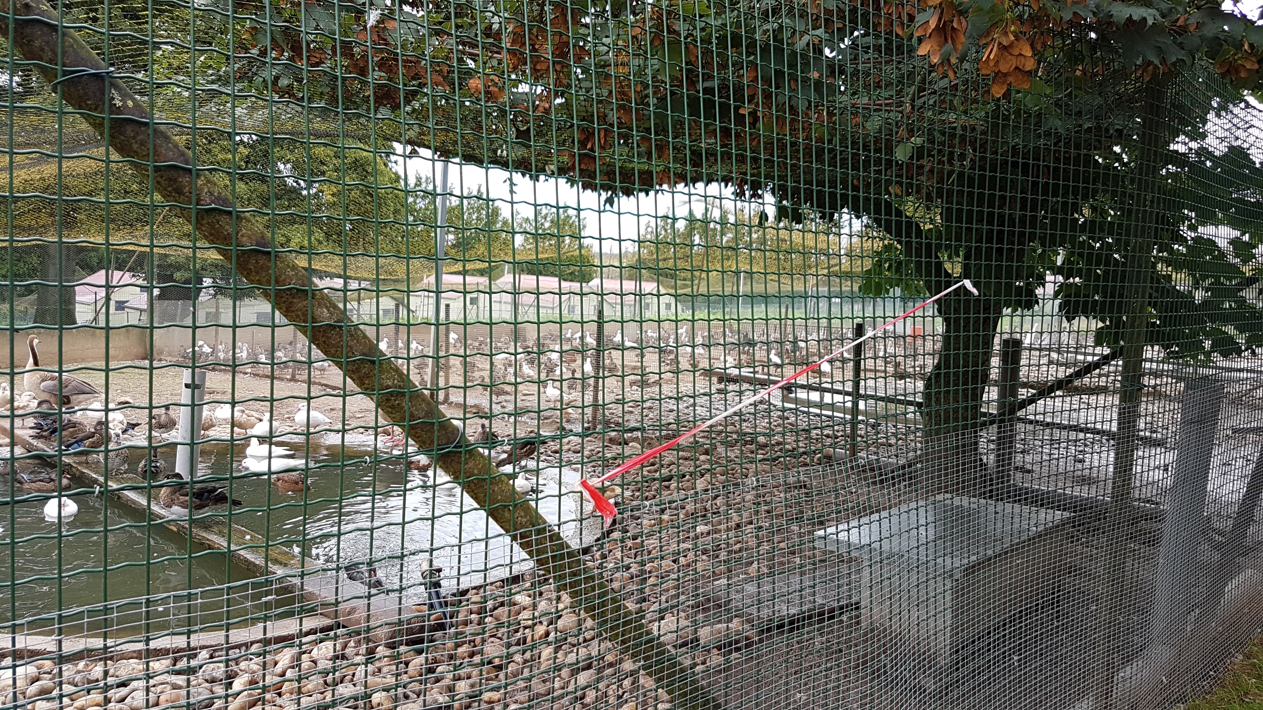 Photo n° 8 de l'avis de Catherine.u fait le 09/08/2019 à 19:00