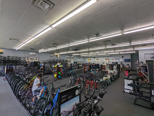 Bicycle Store «Montgomery Cyclery Loveland», reviews and photos, 116 Karl Brown Way, Loveland, OH 45140, USA