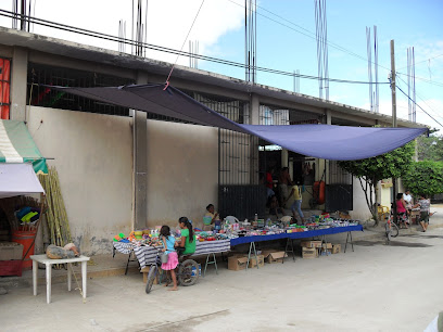 Mercado Zacualpan