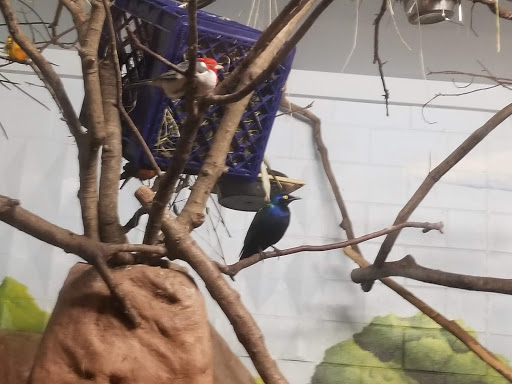 Zoo «Capron Park Zoo», reviews and photos, 201 County St, Attleboro, MA 02703, USA