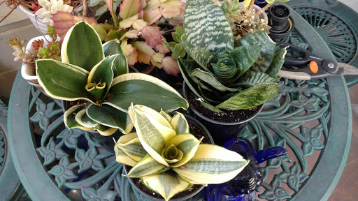 Home Improvement Store «The Home Depot», reviews and photos, 225 Soscol Ave, Napa, CA 94559, USA