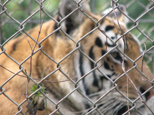 Park «Dietz Recreation Park Inc», reviews and photos, 1490 State Rd 46, Center Point, IN 47840, USA