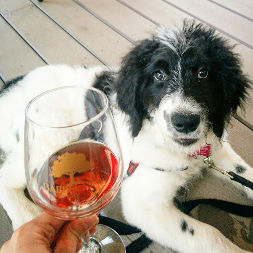 Winery «Barrel Oak Winery», reviews and photos, 3623 Grove Ln, Delaplane, VA 20144, USA