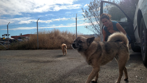 823 Q St, Arcata, CA 95521, USA