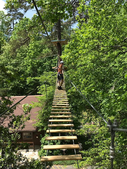 Screaming Eagle Aerial Adventures at Desoto Falls State Park