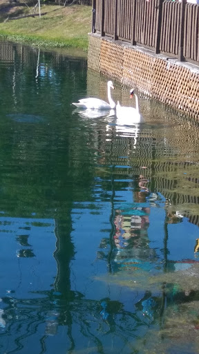 Water Park «Wild Adventures Theme Park», reviews and photos, 3766 Old Clyattville Rd, Valdosta, GA 31601, USA