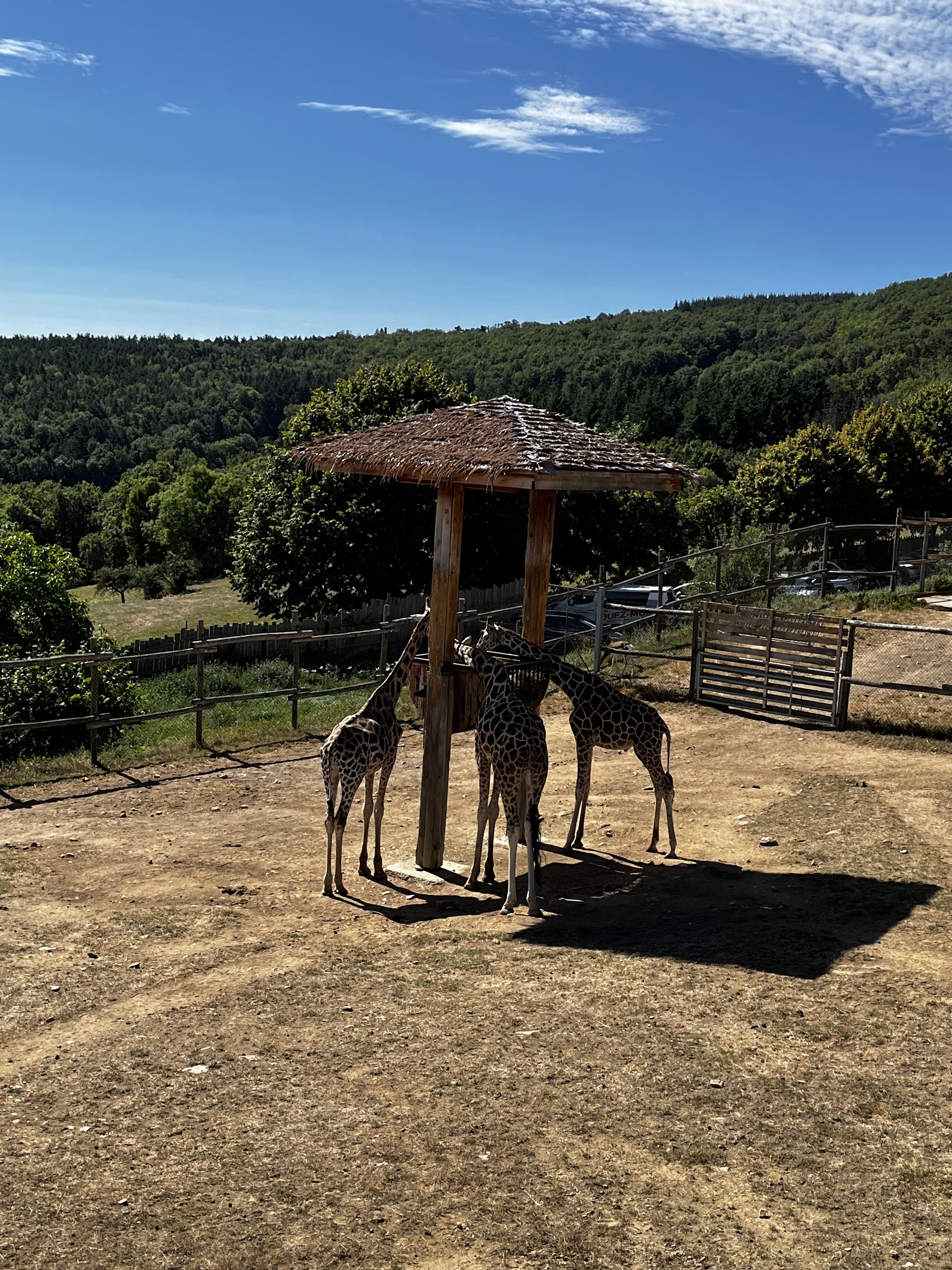 Photo n° 2 de l'avis de Charlotte.u fait le 16/08/2023 à 17:23