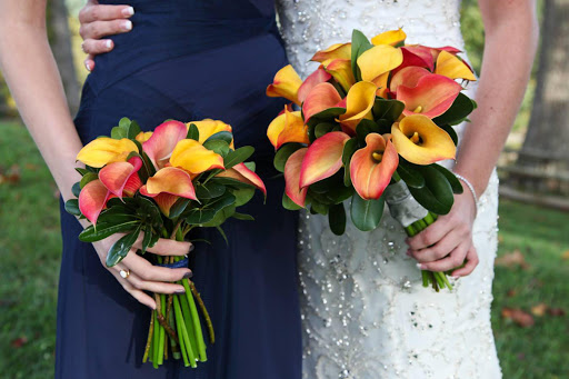 Florist «Shady Grove Flowers», reviews and photos, 65 N Lexington Ave, Asheville, NC 28801, USA