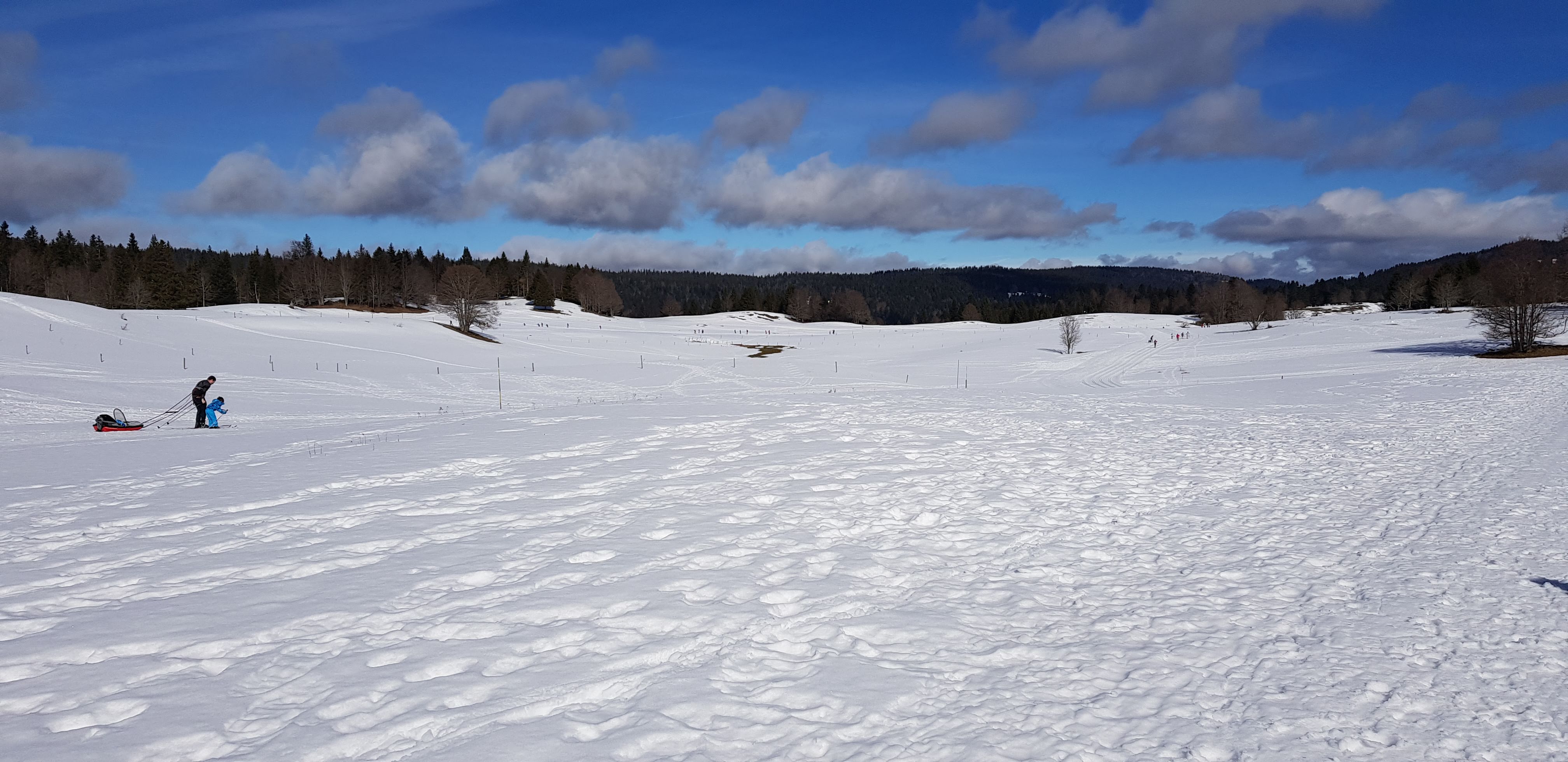 Photo n° 1 de l'avis de David.E fait le 28/02/2020 à 00:18