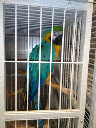 Pet Store «El Granero Pet Shop», reviews and photos, 15700 Atlantic Ave, Compton, CA 90221, USA