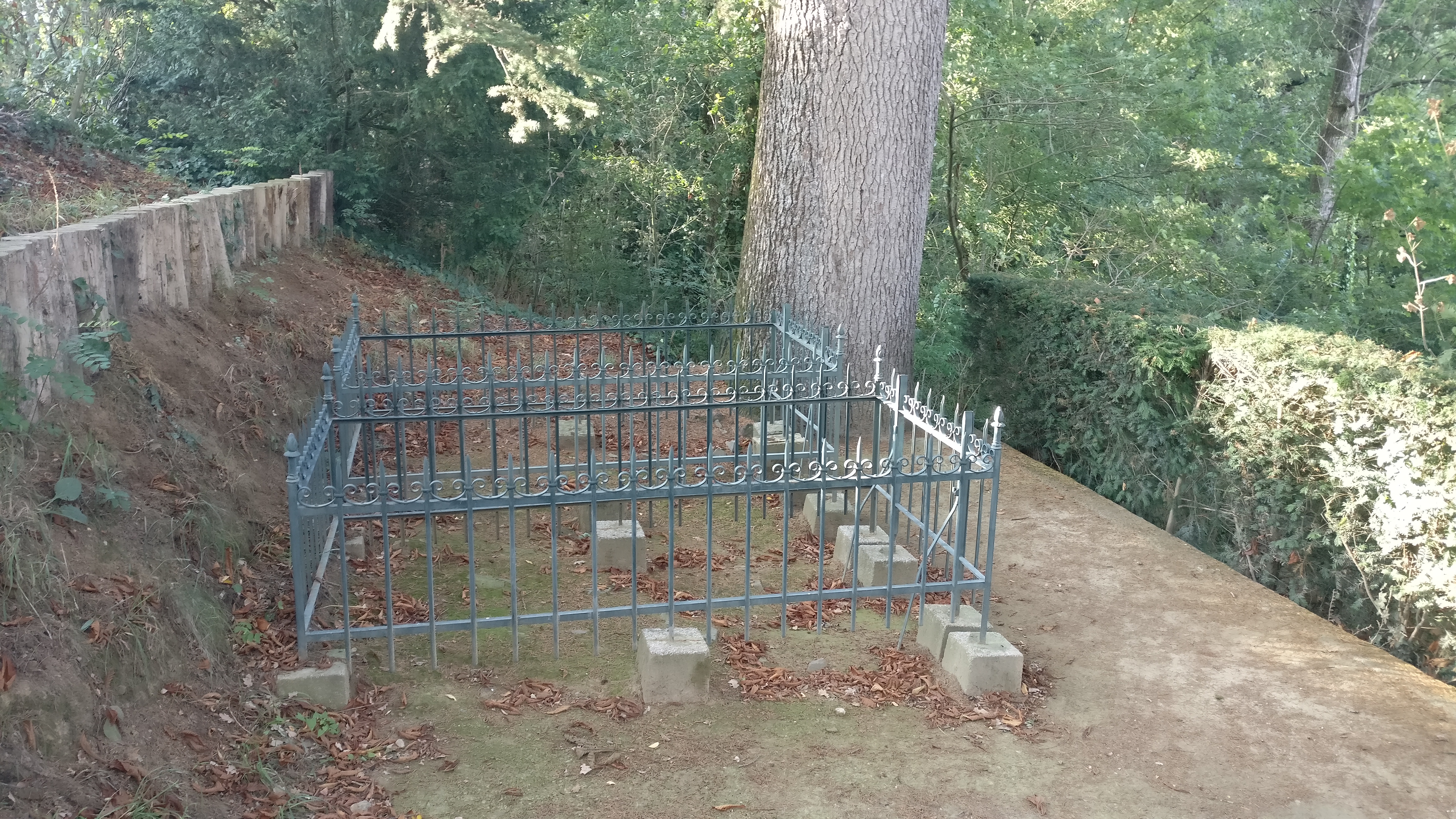 Photo n° 1 de l'avis de Alexandre.h fait le 11/08/2019 à 17:48