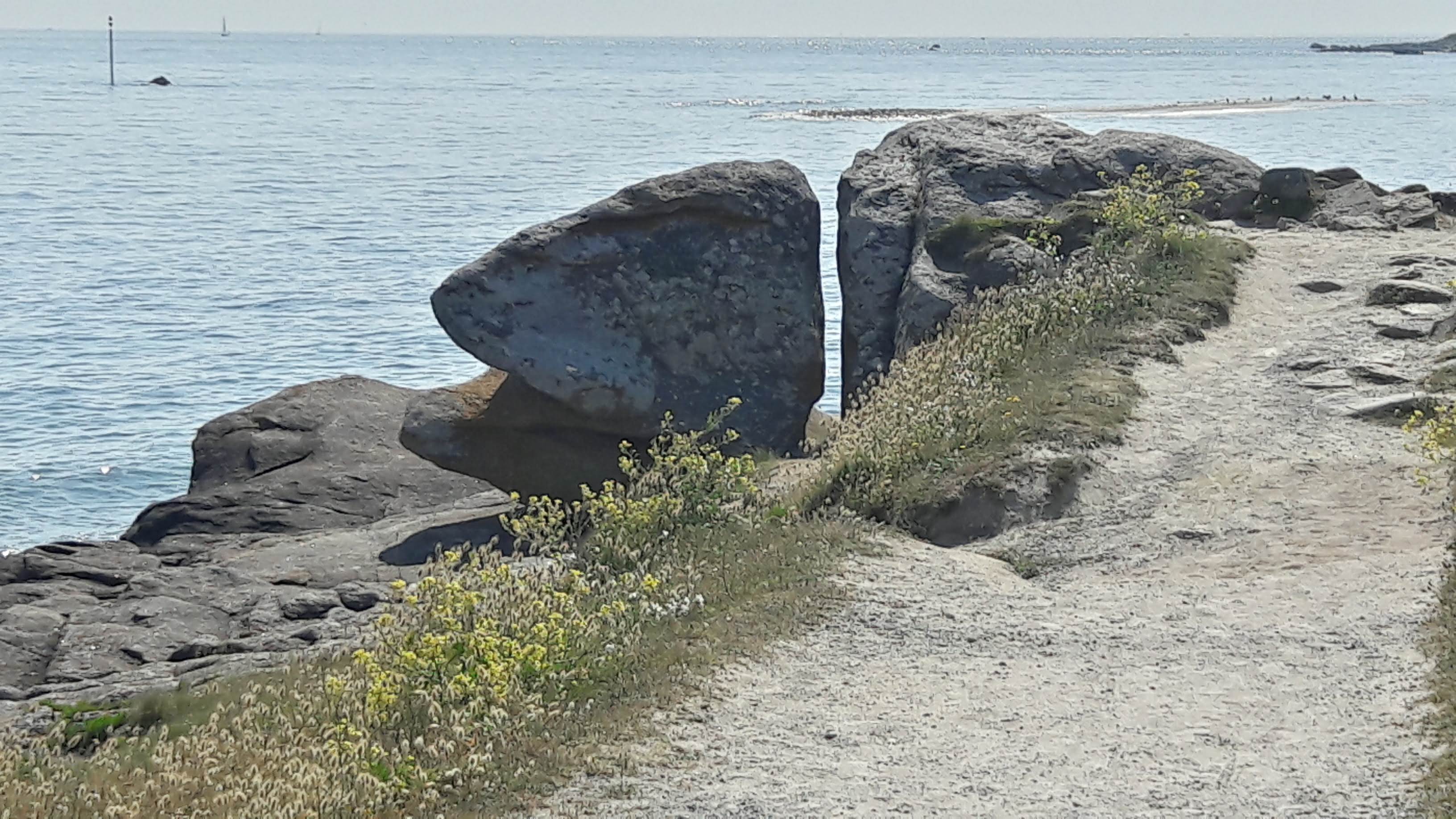 Photo n° 3 de l'avis de Claude.e fait le 30/05/2018 à 15:11